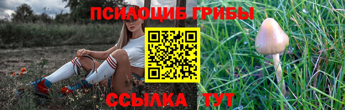 Галлюциногенные грибы ЛСД Лянтор